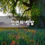 [꼭봐주세요] 인연의 <b>텃밭</b>~