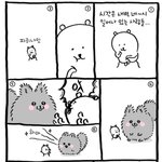 [<b>농담</b>곰] 이런거 올리는거어때