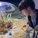 김채원 아이돌력 쩌는듯