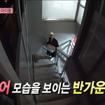 [NCT즌] 개귀엽다 김도영