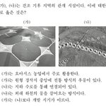 난 진짜 <b>세지</b> 2번보고 눈비빔
