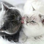 ㅁㅈ만나면 <b>이</b><b>짓</b>해야지