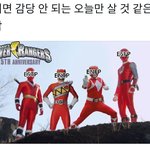 [댓글부탁해] 너네는 mbti 너네가 되고 싶은 성격으로 검사하면