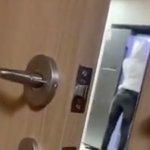 [드루와] 아 크래비티 몰카 미친듯ㅋㅋㅋㅋㅋㅋㅋㅋㅠㅠㅠㅠㅠㅠ