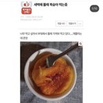 [드루와] 아 미친 <b>복숭아</b>쓰나 인스타가 퍼감