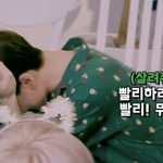 내기준 박지성귀여움탑<b>쓰리</b>안에드는거