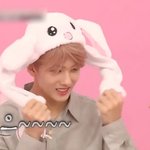 아이돌룸 토끼 <b>지성이</b> 찐이야
