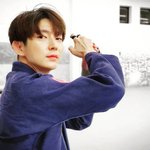 주짓수에 진심인듯한 배우