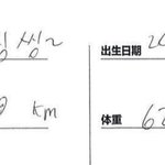 박지성 <b>피셜</b> 180km