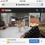 아까 <b>사파리</b>유튜브  글