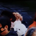 [골든차일드] 아 대박 귀여워