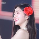 [레드벨벳] 팬톡 살리기 17일차 : 다시 아이린