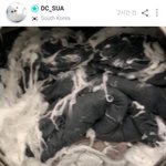 [모두드루와] <b>빨래</b> 잘하는 아이돌