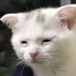 [드루와] 나만 생리때만 예뻐지냐