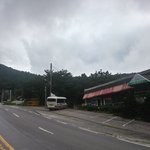 비오고 음악나오니 노래부르는 멍<b>몽이</b>