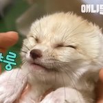 [댓글부탁해] 쌤한테 <b>눈</b>에 띄겟다고 질문하는거 <b>개</b>빡친다