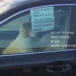애드라 스토리에 누르면 페메 올리면