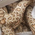 [NCT] <b>제이슨</b> 샀다