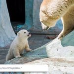 [드루와] 나 무의식 중에 슴부심 좀 있는 것 같아