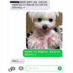 [댓글부탁해] 니 이고 ㅏ가야할까 문과가야할까??