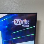 아이랜드 생<b>방임</b>