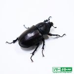 나 어렸을때 <b>esfp</b>였나봐