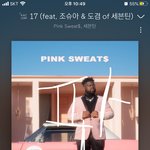 [세븐틴] 내가 걱정되는 것
