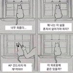 남녀 키차이 12<b>센치</b> 어떰