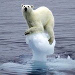 [ㅈㄱㄴ] 나 <b>양성</b>애자인데 질문 받음