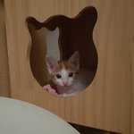 [배고파] 야!!!!너네 <b>야식</b> 안먹으면