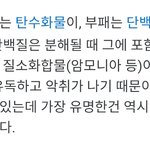 전라도사람들 성격이  괴팍한이유가  있었음