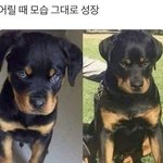 [드루와] 이거 전<b>정국</b>같지 않음?