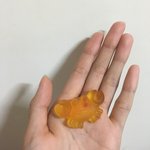 [이것좀봐줘] <b>젤리</b> 먹다가 넘귀여워서 ㅋㅋ