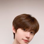 울<b>효자</b> 봐줘 얘들아