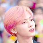 [NCT] 재민이 지인이 <b>유전자</b>면 애기는 얼마나 이쁠까ㅠㅠㅠㅠㅠㅠㅠㅠ