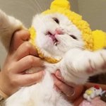 옆모습 쌍꺼풀 합성해봤는데