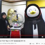 [댓글부탁해] <b>펭수</b> 덕질하다가 대박난 근황