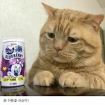 고딩들아 니네 여기서 아는 문학작품몇개임
