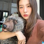 [레드벨벳] 팬톡 살리기 19일차 : 슬스타그램