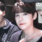 [위너] 덥덥이 <b>조아</b>? 콘서트가 젛아?