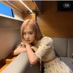 요즘 <b>로제</b>가 너무 좋음