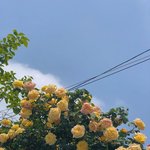 야 너네 만약 2019 <b>이전</b>에 돌아가면