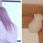 <b>디시</b> 했다가 일분만에 끔