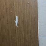 [19] 이거 몰카 <b>구멍</b>이야???