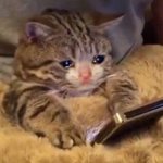 [방탄소년단] 힐링방법