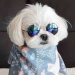 헐 <b>정우</b> 닮았다