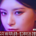 [꼭봐주세요] 에버<b>글로우</b> 야옹이들 예삐다