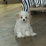 [드루와] 남친 <b>전여</b>친 너무 신경쓰여