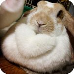 [드루와] 웹툰 <b>겟백</b> 보는애들 있냐