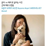 [드루와] 윤아 vs <b>예리</b> 갑론을박